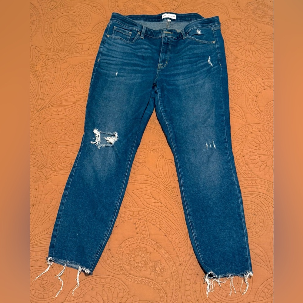 Lane Bryant Distressed Dark Blue Jeans